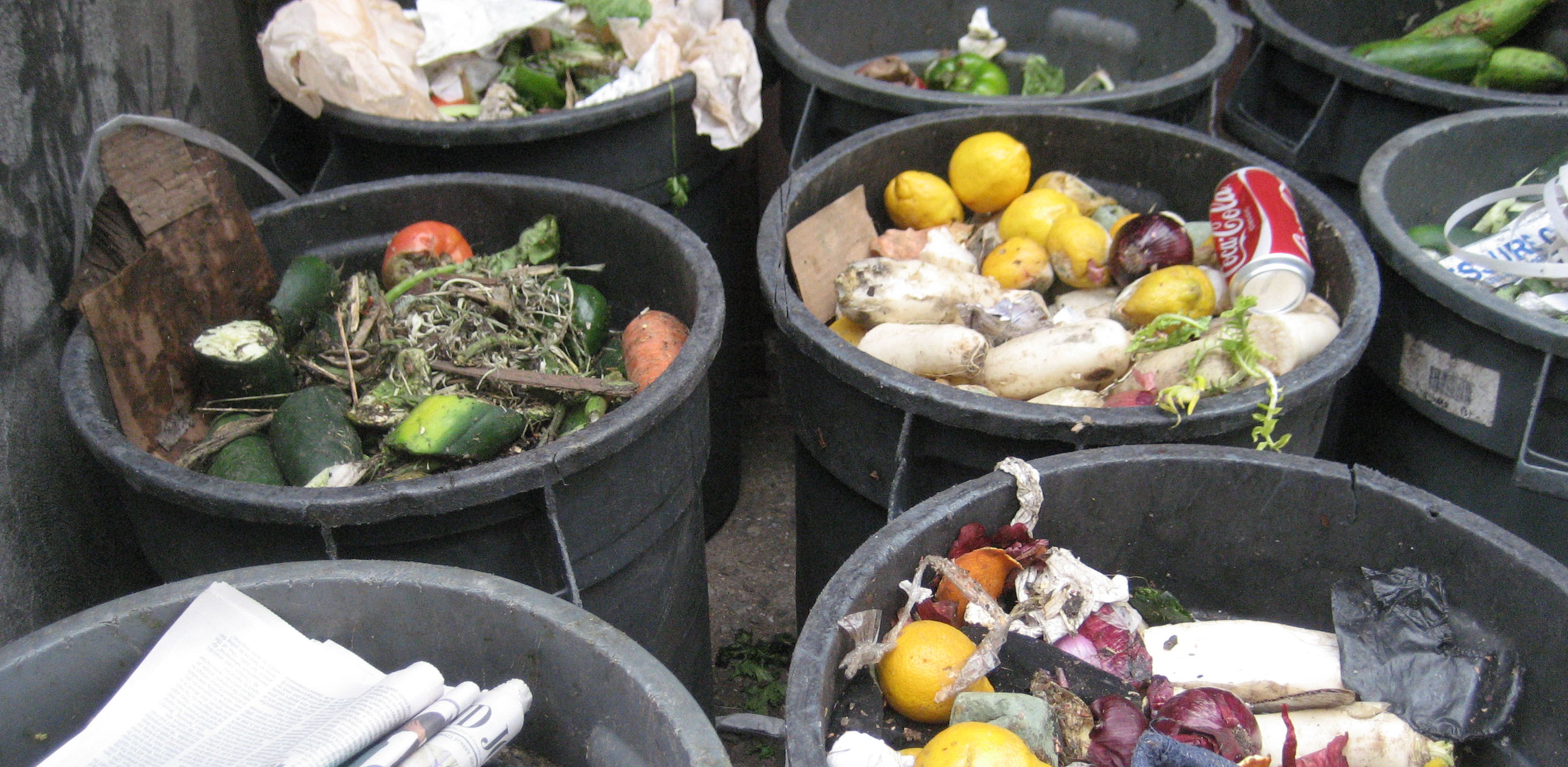 Image result for food wastage