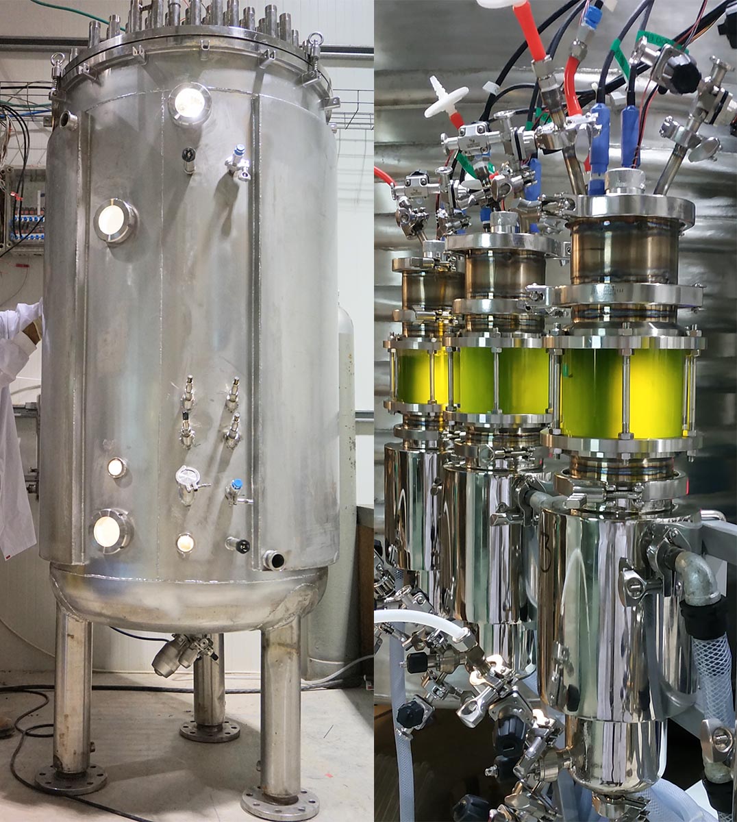 大型生物反应器（左）和较小实验室规模的生物反应器（右）。 图片来源-Yonatan Golan，Brevel