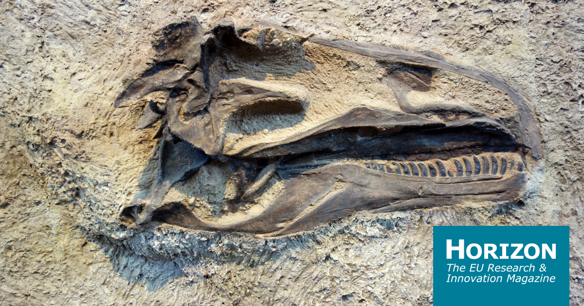 Fossil colour studies are changing our idea of how dinosaurs looked ...